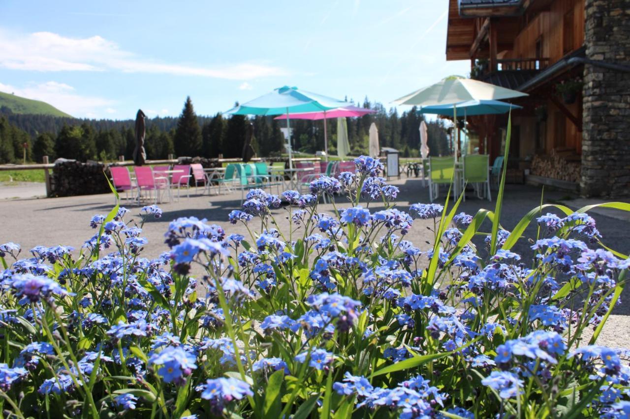 Chalet Hotel Vaccapark Praz de Lys Exteriör bild