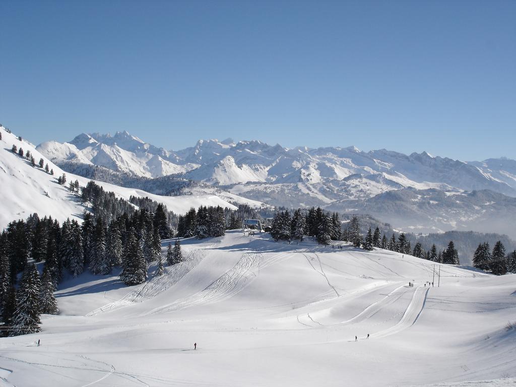 Chalet Hotel Vaccapark Praz de Lys Exteriör bild